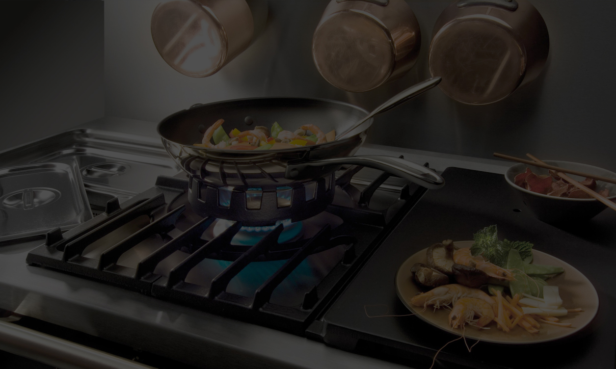 Solenoid Valves for Gas Fires and Cookers